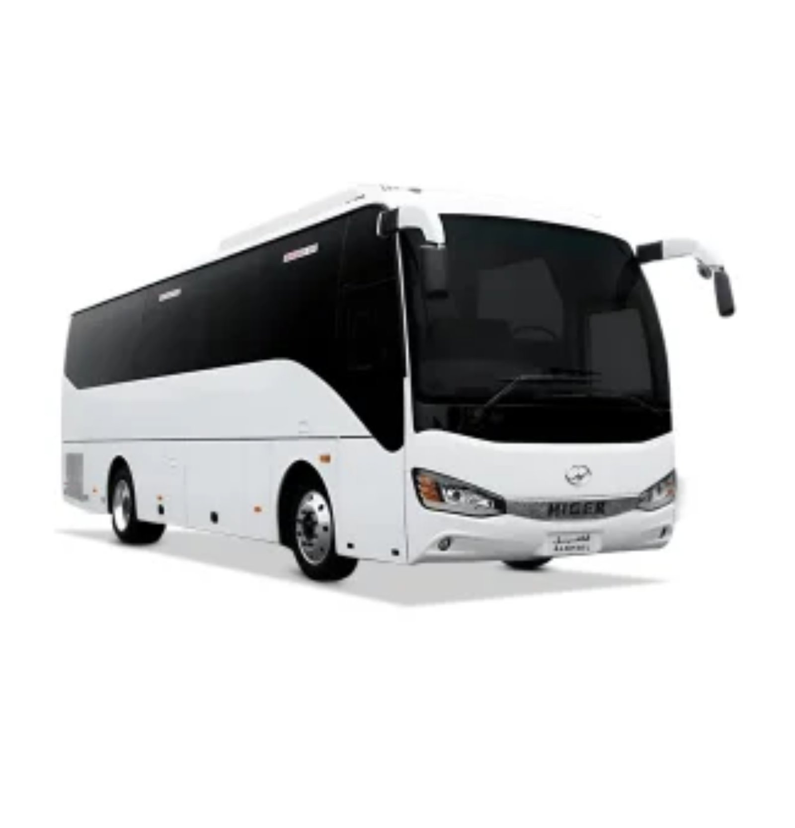 Bus Service